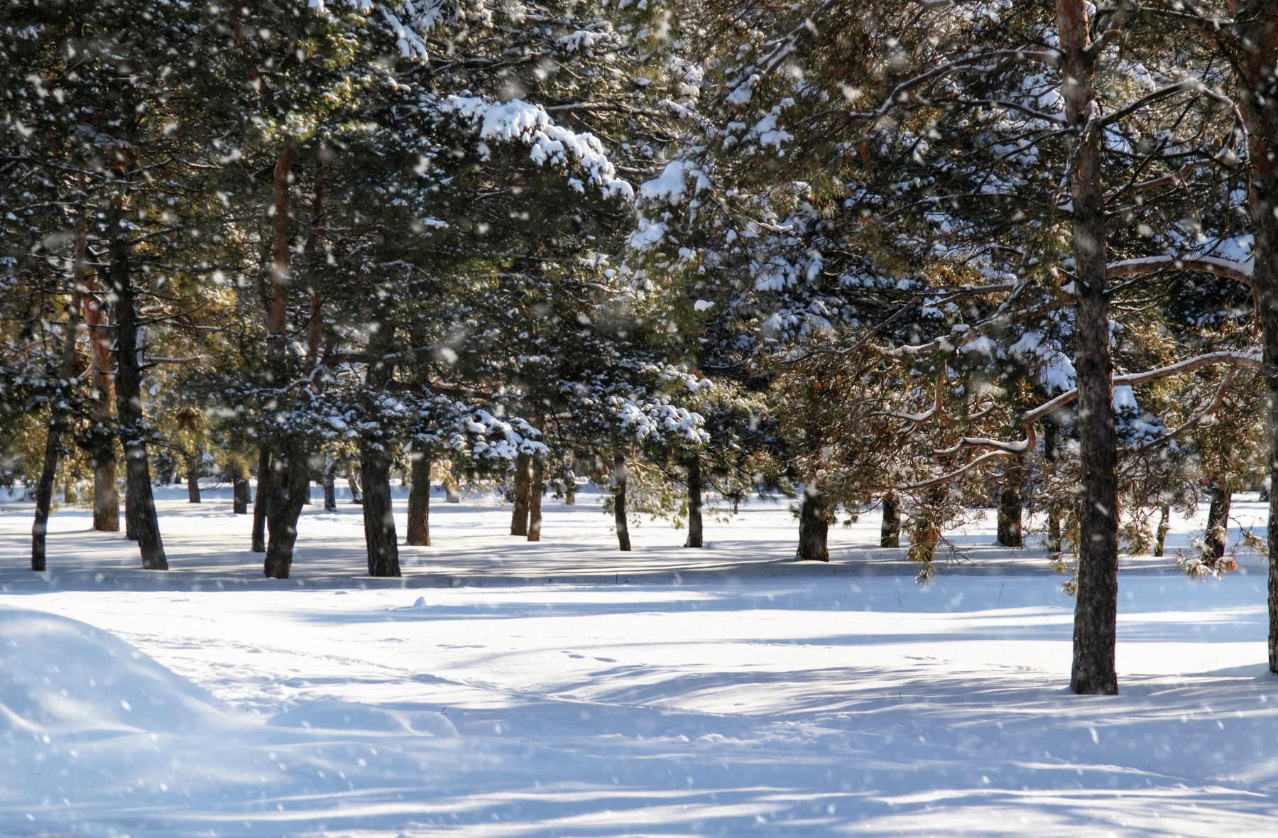 Winter Tips for Maintaining Your Acreage Property