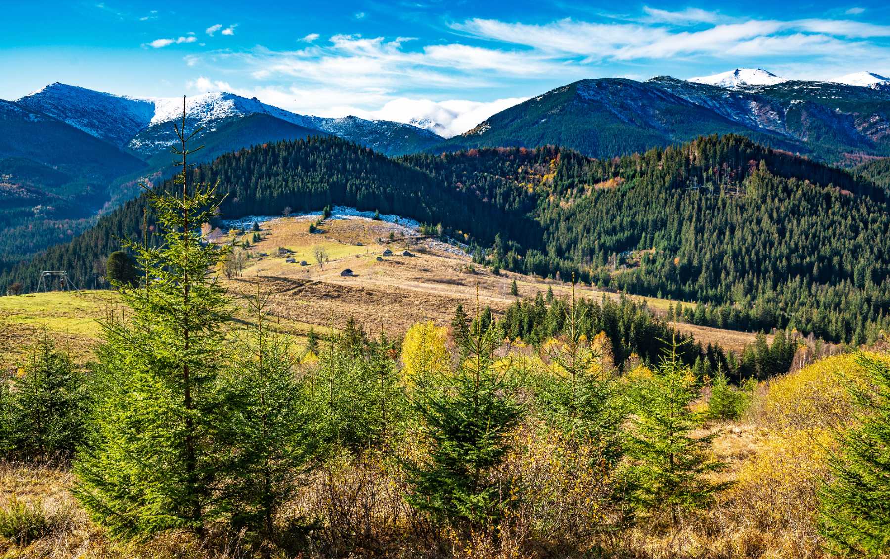 What to Consider Before Leaving the City for Acreage Living in BC