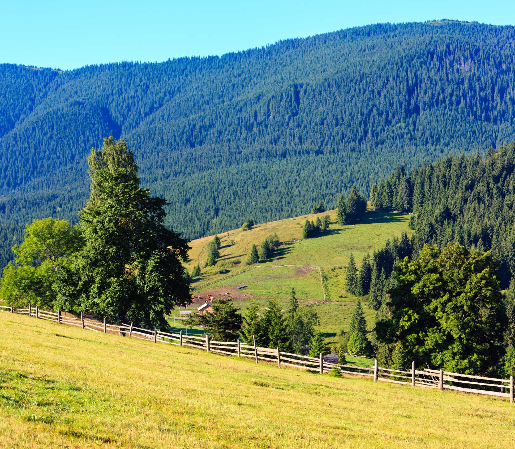 Why More Buyers Are Looking for Rural Properties in BC Right Now